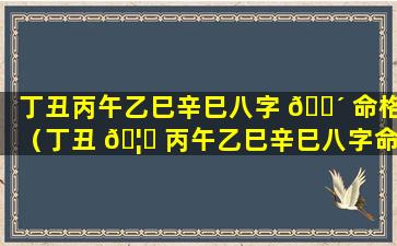 丁丑丙午乙巳辛巳八字 🐴 命格（丁丑 🦊 丙午乙巳辛巳八字命格怎么样）